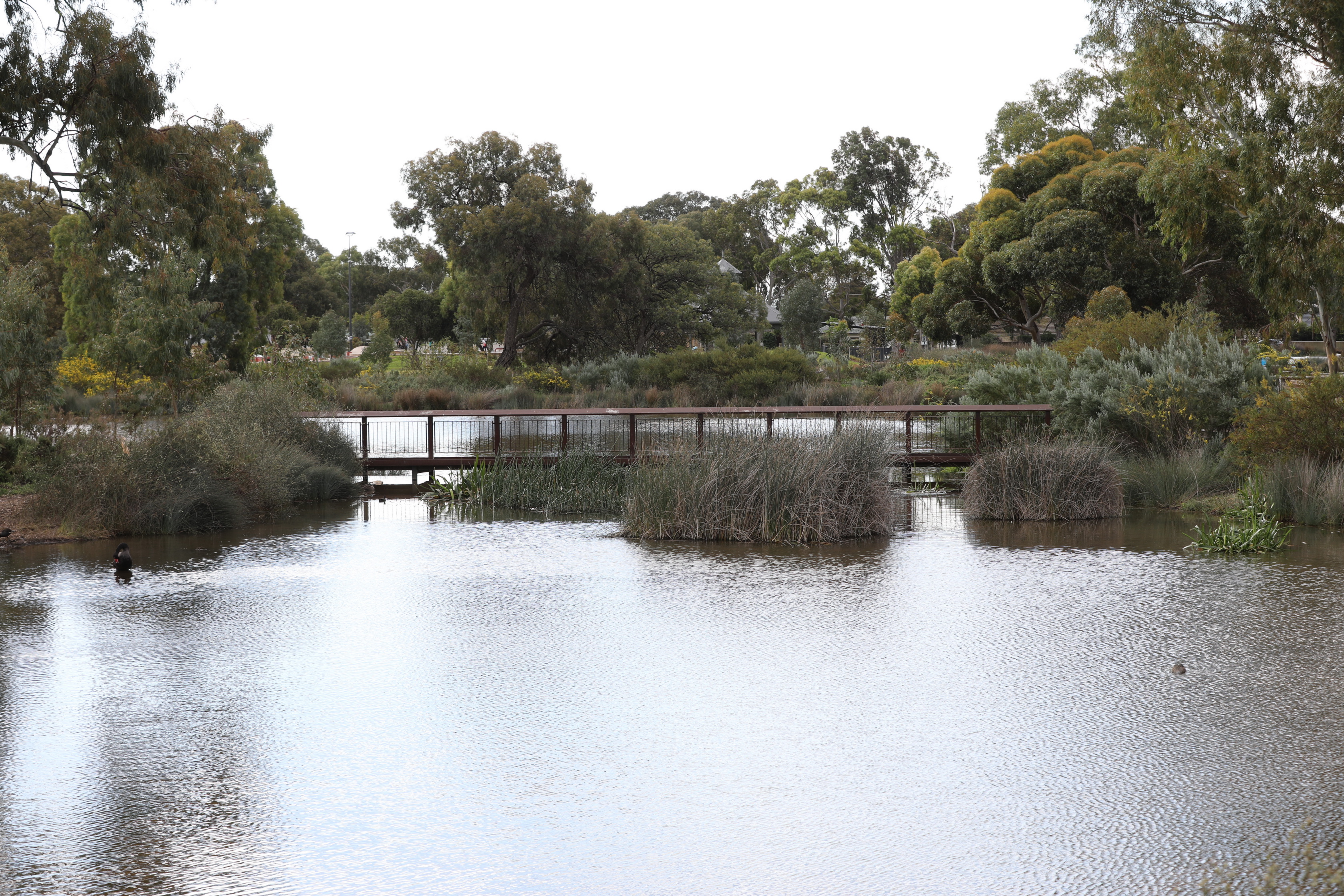 2019 08 25 14 54 43 Canon EOS 5D Mark IV 0001